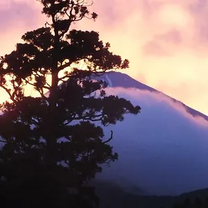 4* 传统日式旅馆 华之宿日式旅馆